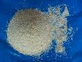  Garlic   powder /  granule / pieces