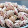 light speckled kidney bean/long shape and round shape