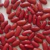 Red   kidney  bean/ british   red   kidney  bean/dark  red   kidney  bean