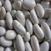 White kidney bean/white bean