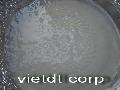 coconut jelly