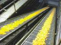 Canned  Fruit s  processing   line 