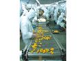 Canned oranges processing line