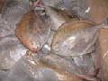 Frozen-Black-Pomfret