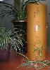 PVC CLING FILM ( FOOD GRADE )