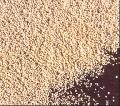 phytase