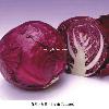 Fresh vegetables - Purple  Cabbage 
