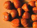  frozen  chestnut