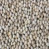 White pepper