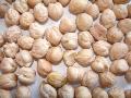  Chick  peas
