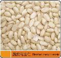 blanched peanut