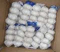 Pure white-4pcs