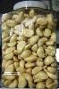 Fresh peeled garlic clove