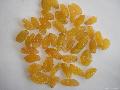 golden  raisin s ( dried   grape )