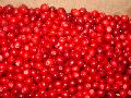  Frozen   lingonberry , frozen  cowberry