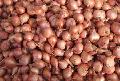 Fresh chilled  red   shallot 