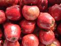 Fresh chilled red apple