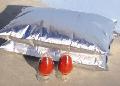 Spray  dried  tomato powder