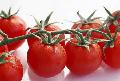 Canned tomato paste retail package and industry package