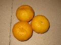  honey   mandarin  02