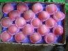 Fuji apples