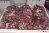 Red  globe   grapes 