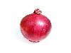 Fresh Onion