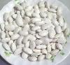 Fresh Crop A Grade Large White Kidney Beans