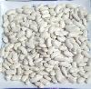 white kidney bean