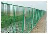 Wire  Mesh   Fence 