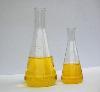 Gardenia Yellow