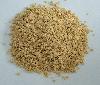 Textured Vegetable Protein (TVP, TSP)