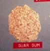 GUAR GUM