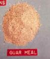C40  Processed  Guar Meal
