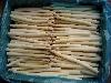 Frozen white asparagus