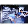 Contact  Plate  Freezer