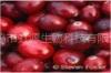  Cranberry   P . E 