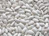 White Alubia Beans