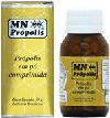 Propolis in Powder Compacted 50g