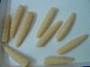 baby corn