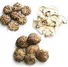 dried mushroom whole