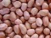 Peanut kernels