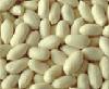 Blanched peanut kernels