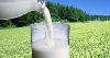 King Fresh  Milk   Flavour 