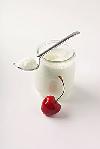Yoghourt Flavour