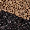Coffee Flavour