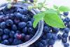 Blueberry Flavour