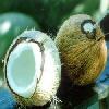  Coconut   flavour 