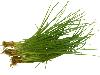  Shallot  Oil Flavour