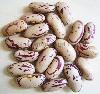 Light Speckled Kidney Bean